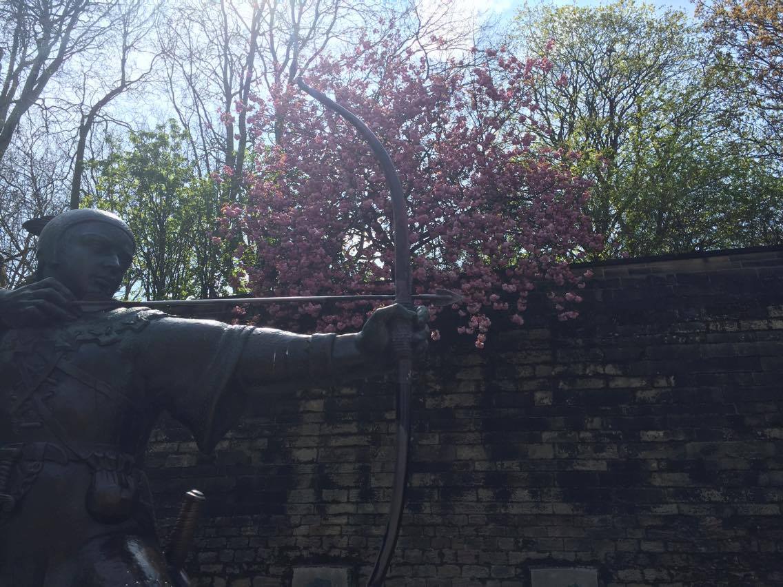 13214761_10156890607735258_566366896_o