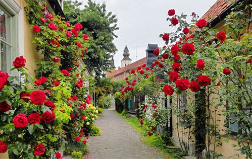 visby-photo-gotland-net_