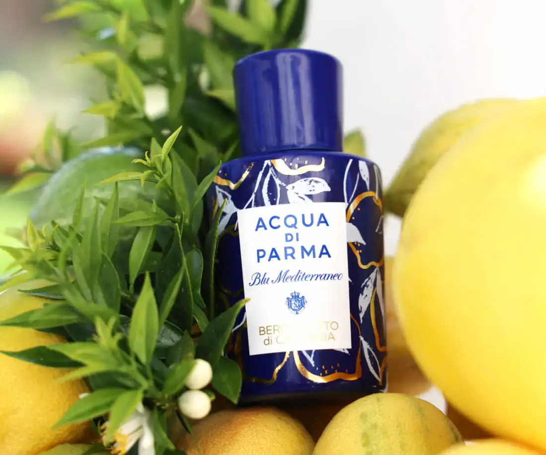 Bergamotto di Calabria La Spugnatura Acqua di Parma vs Regular Bergamotto di Calabria