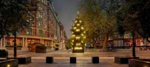 Christmas Trees 2022: The Connaught Christmas Tree has just been unveiled