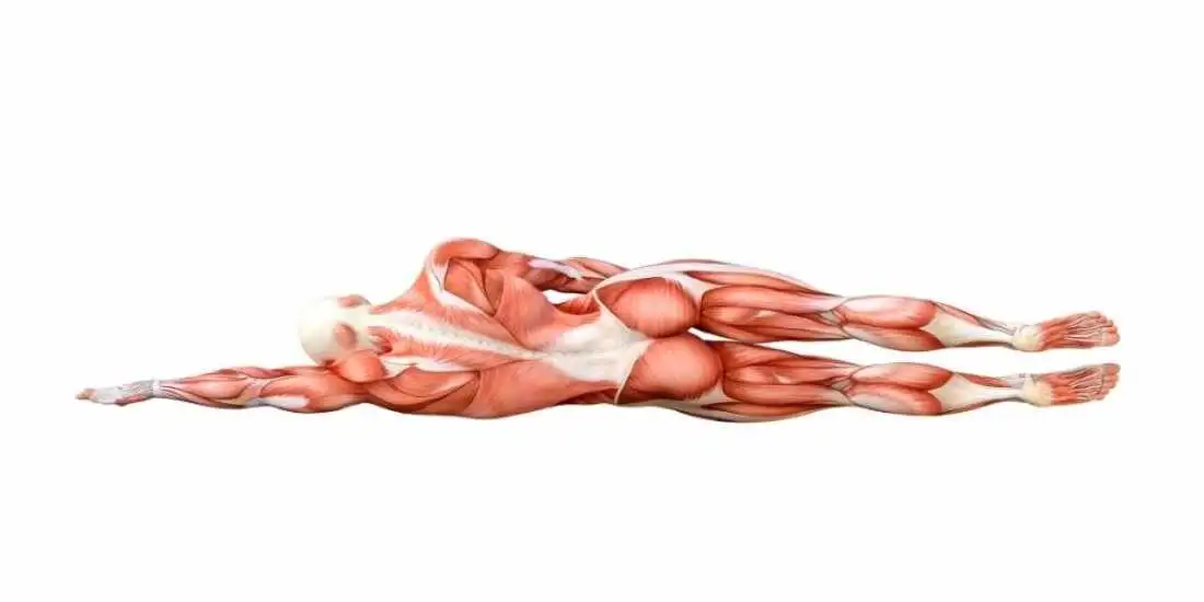 10 Mobility Exercises You Should Be Doing To Bulletproof Your Shoulders and Improve Range of Motion, Says a PT