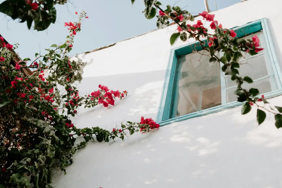 Teddy Swims The Door